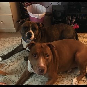 Meet your Posher, Alexis